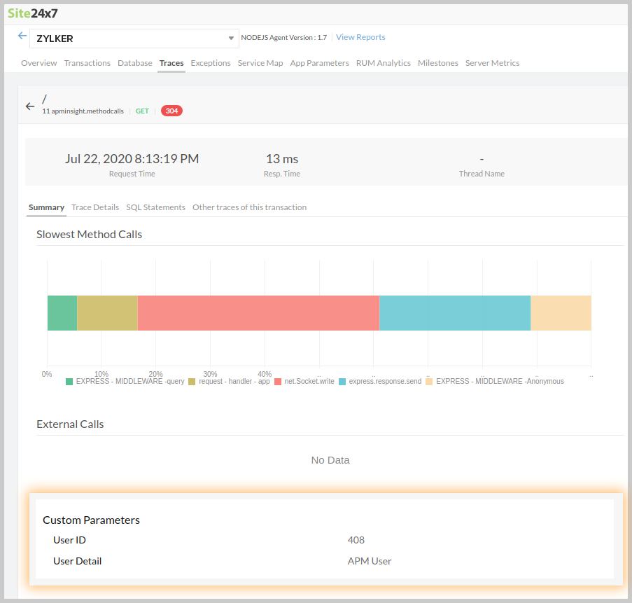 custom parameters